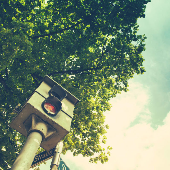 Blitzer im Starenkasten Blitzer / Starenkasten