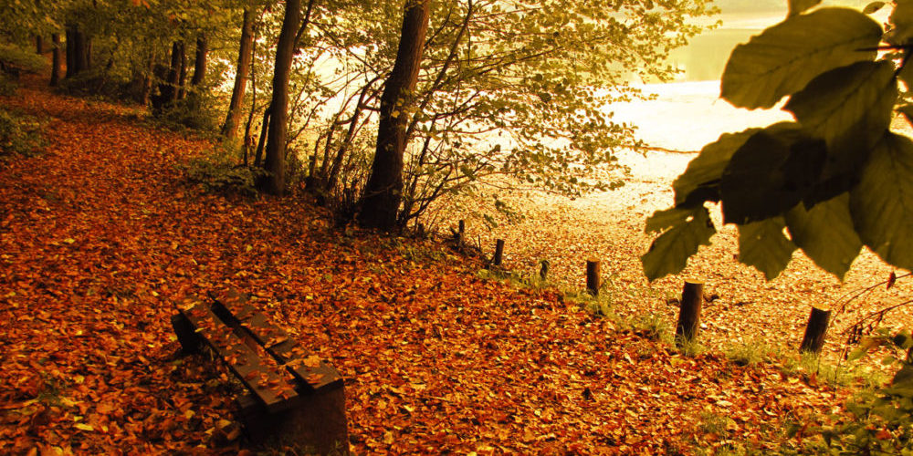 Parkbank am See bei Sonnenuntergang