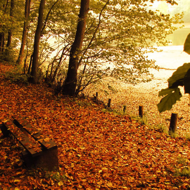 Parkbank am See bei Sonnenuntergang Parkbank am See bei Sonnenuntergang