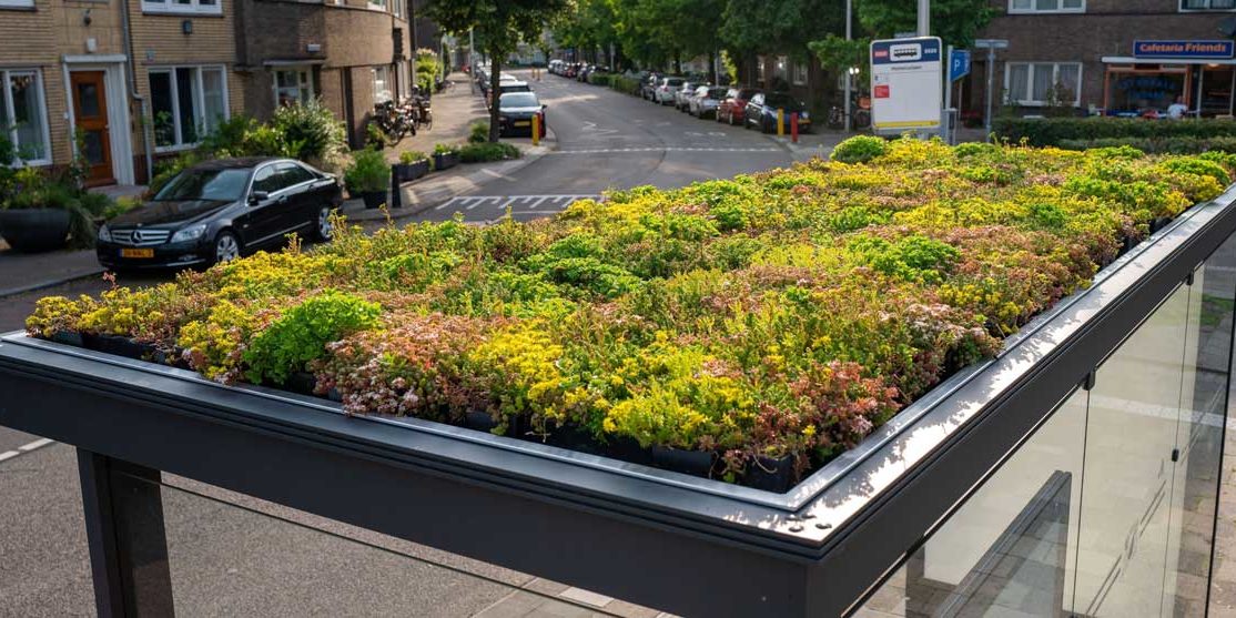 Grünes-Dach-auf-Buswartehäuschen Begrüntes Dach einer Bushaltestelle / Bildnachweis: imago images / Hollandse Hoogte