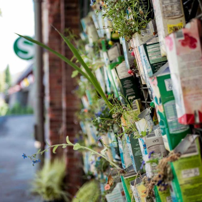 urban gardening / Bildnachweis: AllzweckJack / photocase.de
