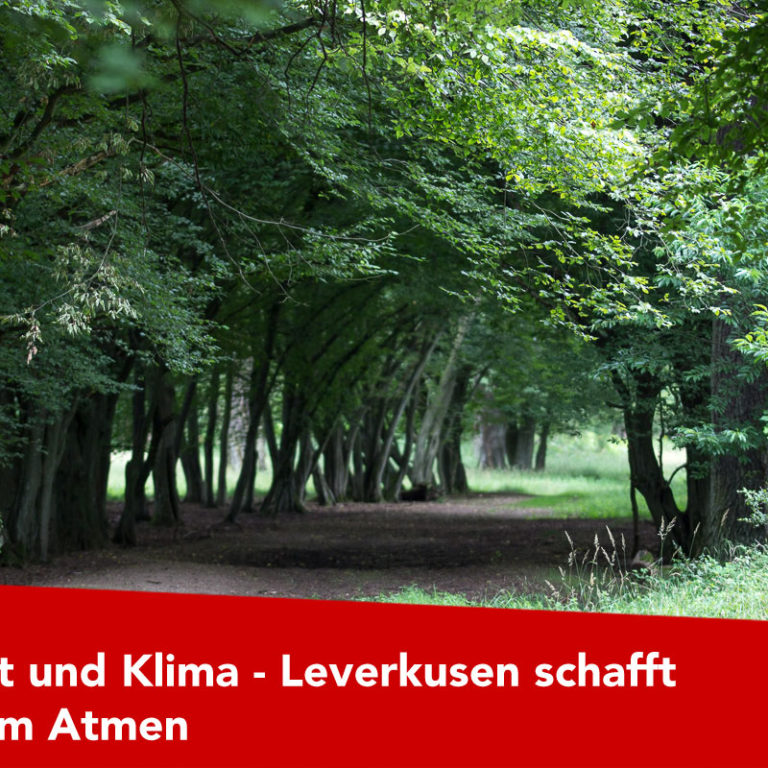 Umwelt-und-Klima