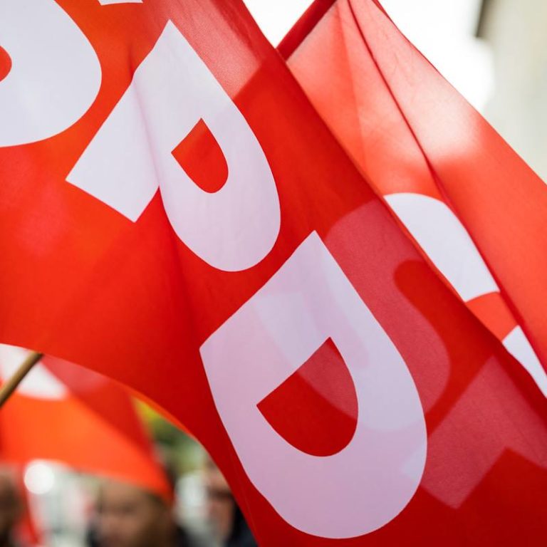 Flaggen SPD