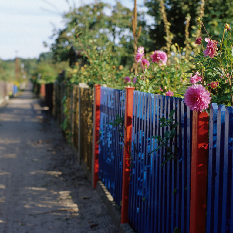 Kleingartenanlage Kleingartenanlage / Bildnachweis: nurmalso / photocase.de