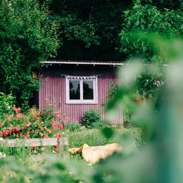 Gartenhäuschen im Kleingarten Gartenhäuschen im Kleingarten / Bildnachweis: Eliza / photocase.de