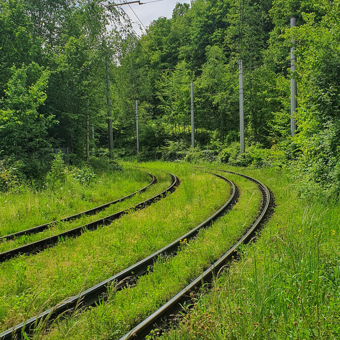 Bahnschinen im Grünen Bahnschienen eingebettet im satten grünen Gras und Wald / Bildnachweis: Kleeblatt / photocase.de