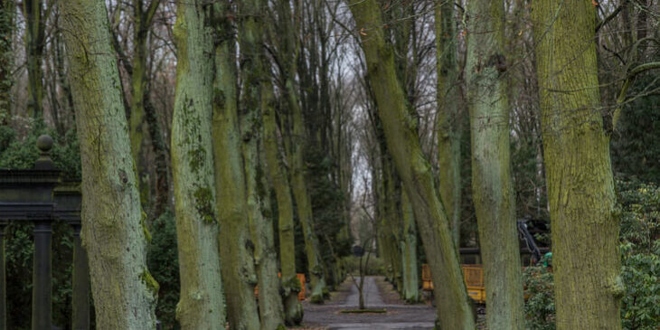 Friedhof Friedhof / Bildnachweis: Tim T. / photocase.de
