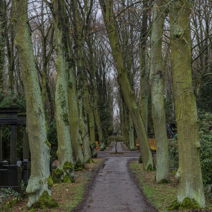 Friedhof Friedhof / Bildnachweis: Tim T. / photocase.de